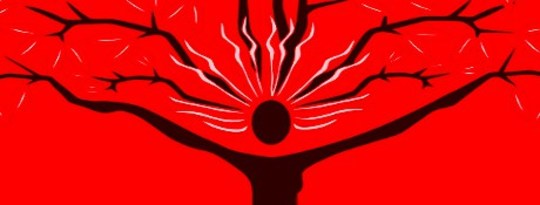 What Are The True Causes of Diseases? What Are The True Causes of Diseases?